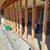 🛠️ Journeyman Carpenter – Over 25 Years in the Trades (La Mesa / San 12 thumbnail
