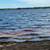 Sugar Camp Chain of Lakes Access. Wooded lot 16 thumbnail