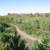 2025 - Hunting Lease on LAKE 6 thumbnail