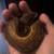 Sunset Ball Python 2 thumbnail