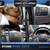 2016 Honda Odyssey EX-L 6 thumbnail