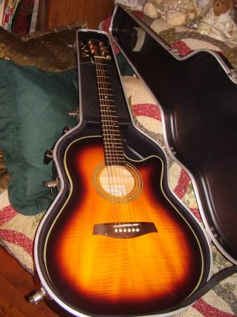 Ibanez AE25TS Guitar 1