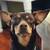 3 Dogs-Foster or Adopt. 2 thumbnail