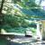 Large Well Maintained-2 Story Brick House - 4 BR's & 2.5 Baths-Parking 23 thumbnail