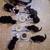 Beautiful Kittens looking for new homes 7 thumbnail