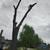 Lowest cost Tree Removal/Tree Trimming 3 thumbnail
