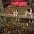 Border collies 3 thumbnail