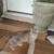 Cats 15 thumbnail