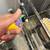 Gouldian finch male 7 thumbnail
