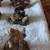 BOYDS BEARS COLLECTION 10 PIECES $10 EACH 5 thumbnail