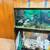 Aquarium and stand plus fish 5 thumbnail