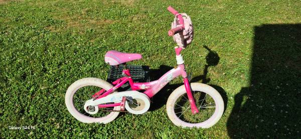 Disney Princess 16" Bicycle 1