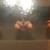 ACORN Shadowbox Art - Grant Gilbert 1 thumbnail