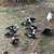Muscovy ducks 3 thumbnail
