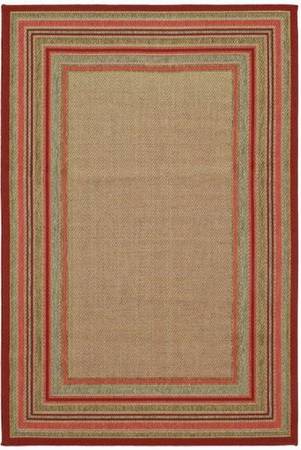 Indoor or Outdoor Border Mid-century Modern Area Rug 1
