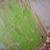 Green Abstract Original Painting Mixed Media 36 x 24 From Estate 2 thumbnail