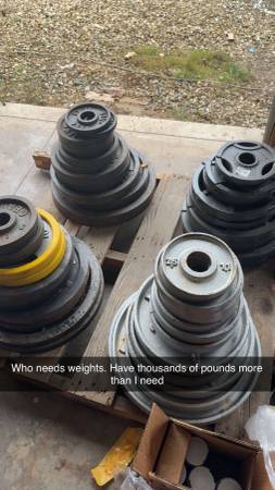 Olympic weights bench press barbell 1