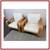 Williams-sonoma Home Rattan Arm Chairs, Pair 5 thumbnail