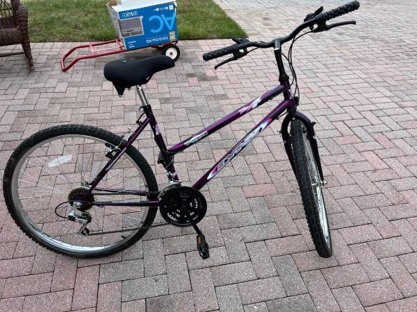 Mountain Bike 1