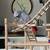 African Grey Parrot and Goffin Cockatoo rehoming 2 thumbnail