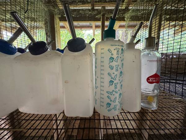 Water bottles 1
