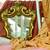 Venetian Mirror 1 thumbnail