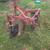 Two bottom plow 1 thumbnail
