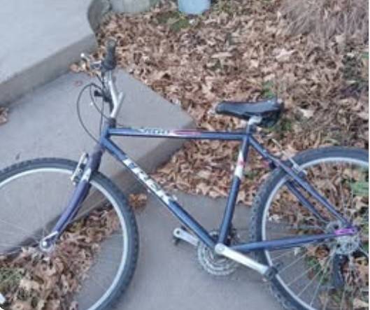 20 inch Trek 800 Singletrack Mountain Bike 1