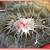 ACRYLIC art 1 thumbnail