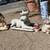 3 large vintage  statues, old...DOG, rabbit...and bunny pot holder 1 thumbnail