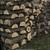 Firewood 1 thumbnail