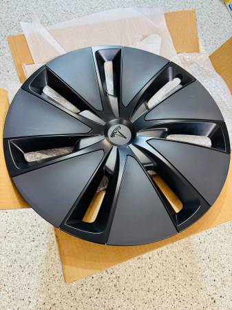 2024-2025 Model 3 SET of 4 Wheel Rim Cover 18" Photon Center Cap 1