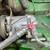 1981 John Deere 8640 14 thumbnail