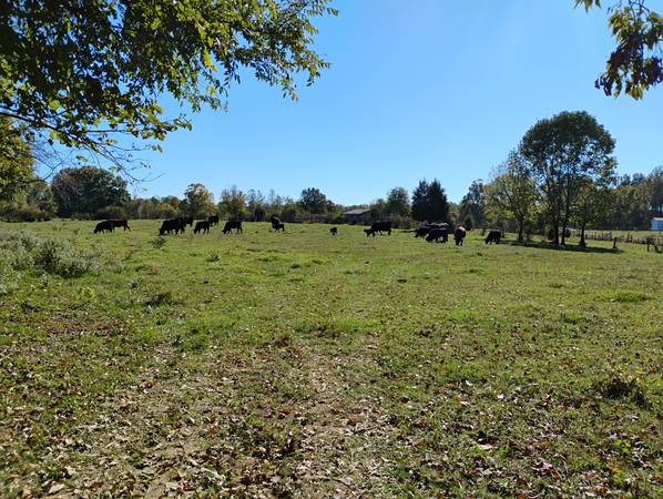 $800 / 1br - Furnished w Utilities+TV/Internet One Bedroom, One Bath Private Apt. (4 miles from Exit 19, I-24)63680263952129120