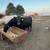 18 Bred Angus Cows 14 thumbnail