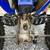 Yamaha YFZ 450 6 thumbnail