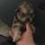 puppi 2 thumbnail