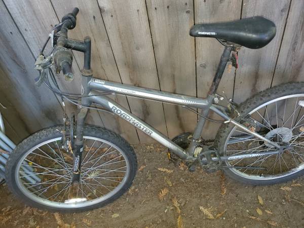 Roadmaster Bike 1