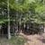 Martha Lake Home with 3 cabins 18 thumbnail
