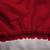 COVERKING SATIN STRETCH CUSTOM-MADE CAR COVER FOR ACURA NSX (RED) 9 thumbnail