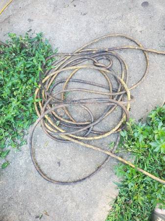 10/3 50' cord 1