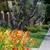 On-Site Management, Resident Referral Program, Private Yards 1 thumbnail