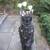 Golf Clubs- Tommy Armour 855s Set With Cart Bag 7 thumbnail