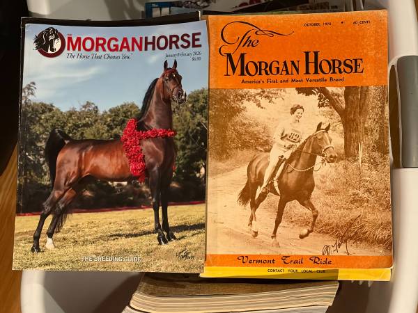 Free Horse Magazines 1