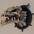 Dragon Skull 2 thumbnail