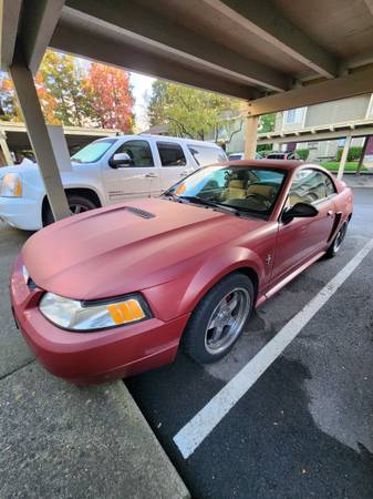 FOR SALE - 2000 FORD MUSTANG 1