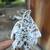 Speckled Cochin 9 thumbnail
