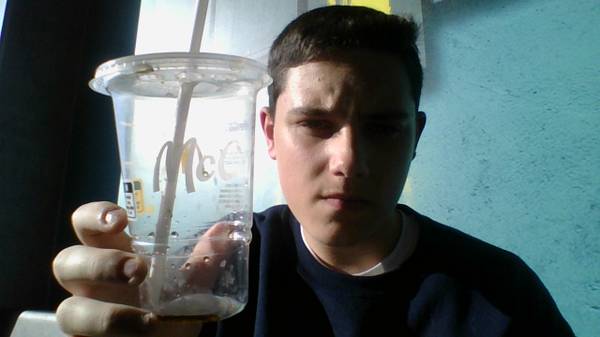 Macdonalds small cup 1