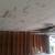 AL'S PAINTING AND DRYWALL PROFESSIONAL PAINTING 30+ YEARS 12 thumbnail