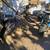 Volkswagen Trike 4 thumbnail